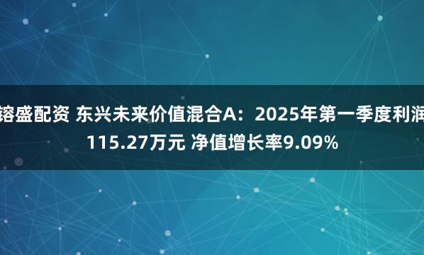 镕盛配资 东兴未来价值混合A：2025年第一季度利润115.27万元 净值增长率9.09%
