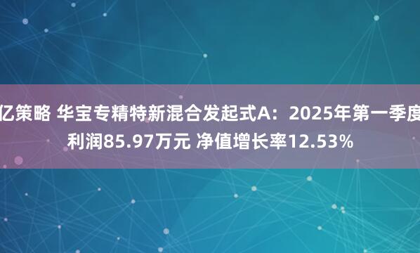 亿策略 华宝专精特新混合发起式A：2025年第一季度利润85.97万元 净值增长率12.53%