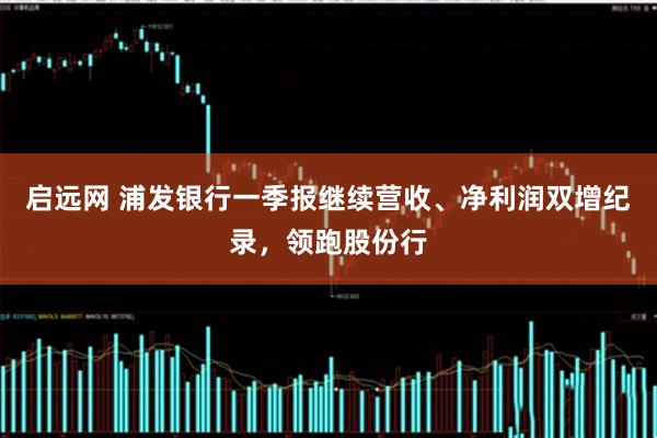 启远网 浦发银行一季报继续营收、净利润双增纪录，领跑股份行
