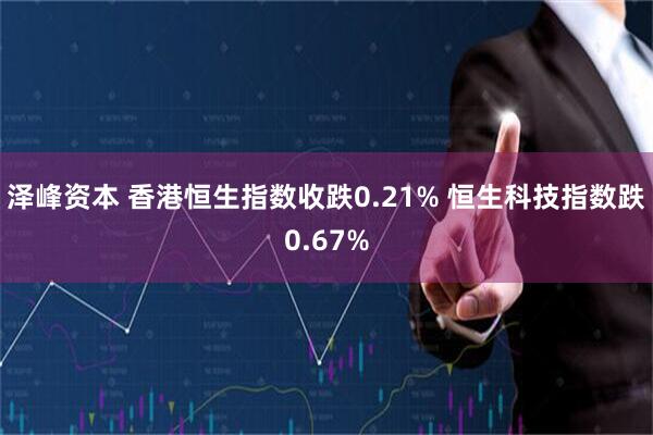 泽峰资本 香港恒生指数收跌0.21% 恒生科技指数跌0.67%